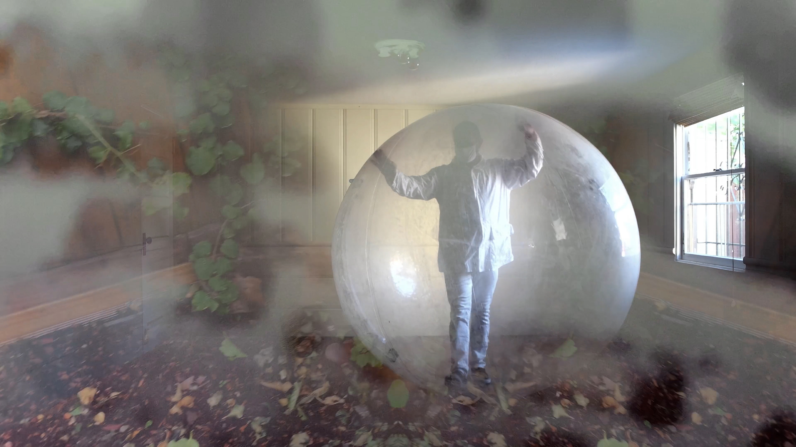 A person standing inside a large transparent ball in a room full of leaves.